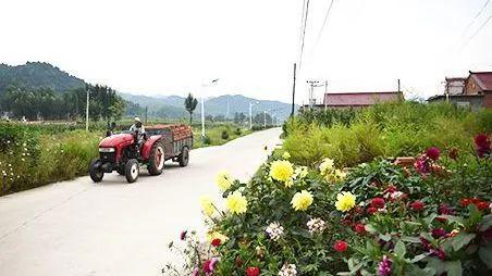 管道局：堅(jiān)決當(dāng)好保障國(guó)家能源安全的“壓艙石”和“頂梁柱”！