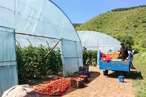 管道局：堅(jiān)決當(dāng)好保障國(guó)家能源安全的“壓艙石”和“頂梁柱”！