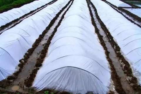 PE管與HDPE管區(qū)別在哪？一文給你講清楚